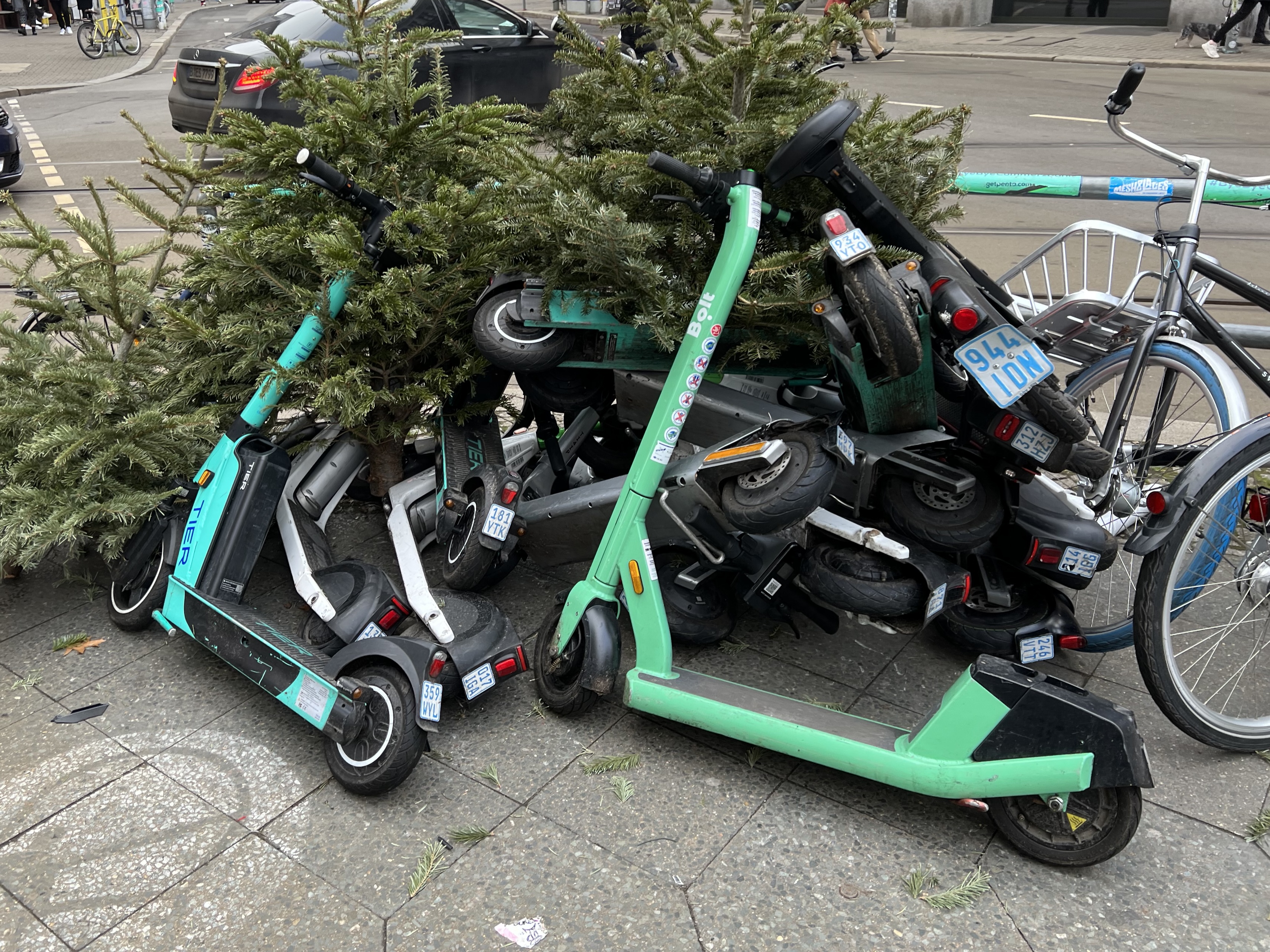 Scooters in Christmas trees